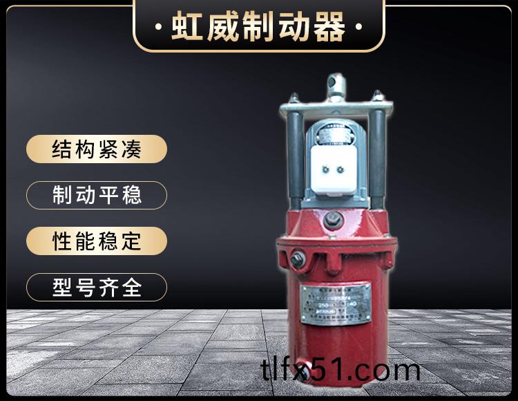 YT1係列(lie)電(dian)力液壓推(tui)動(dong)器