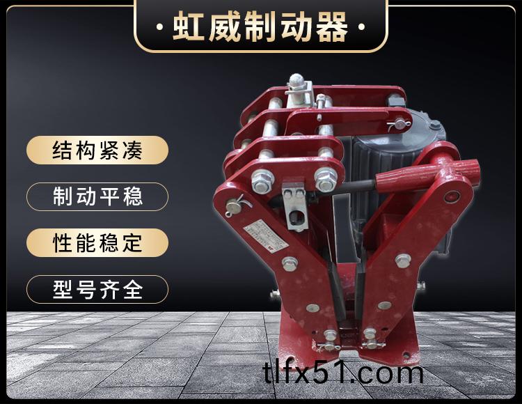 YPZ2-IV-V-VI型電(dian)力液壓(ya)盤式(shi)製(zhi)動(dong)器