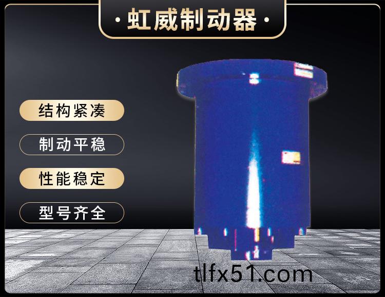 YDGZ(直(zhi)動(dong)式)液壓頂軌(gui)製(zhi)動器(qi)