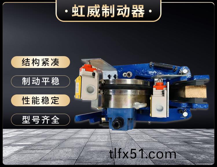 電磁(ci)盤(pan)式製動(dong)器(qi)