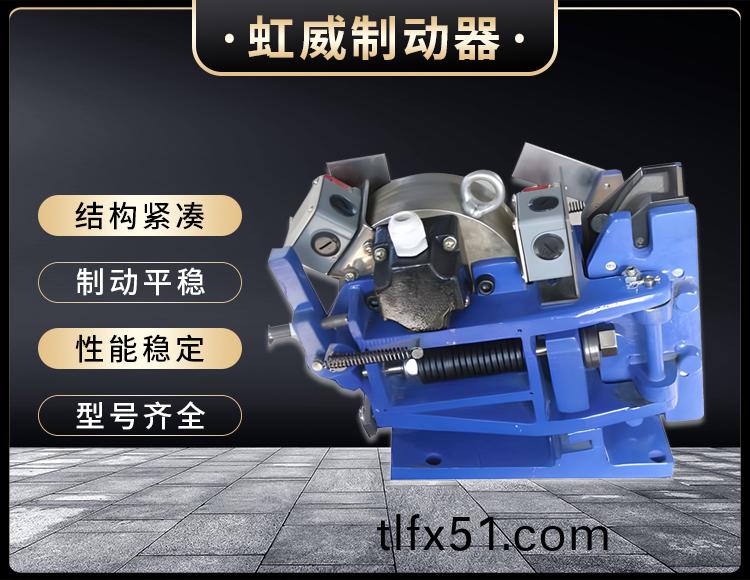 SE係(xi)列電(dian)磁安全(quan)製動(dong)器