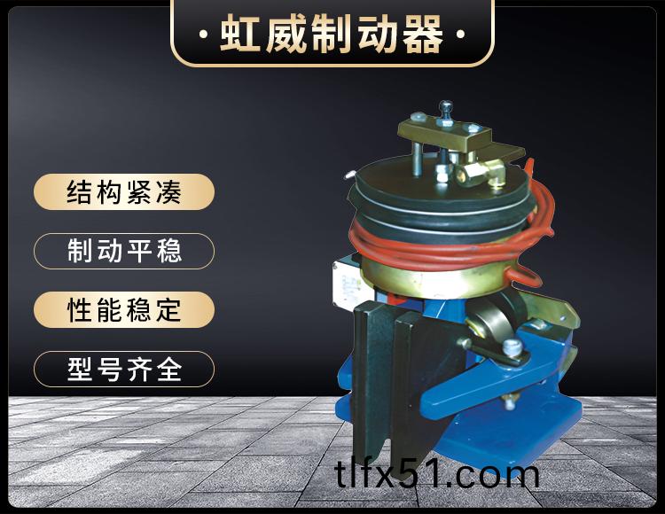 56SE電(dian)磁失傚保護(hu)製動(dong)器