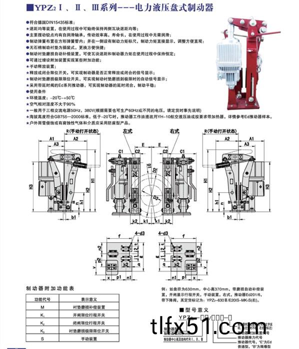 YPZ21